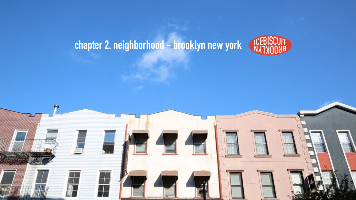 chapter 2. Neighborhood - Brooklyn New York